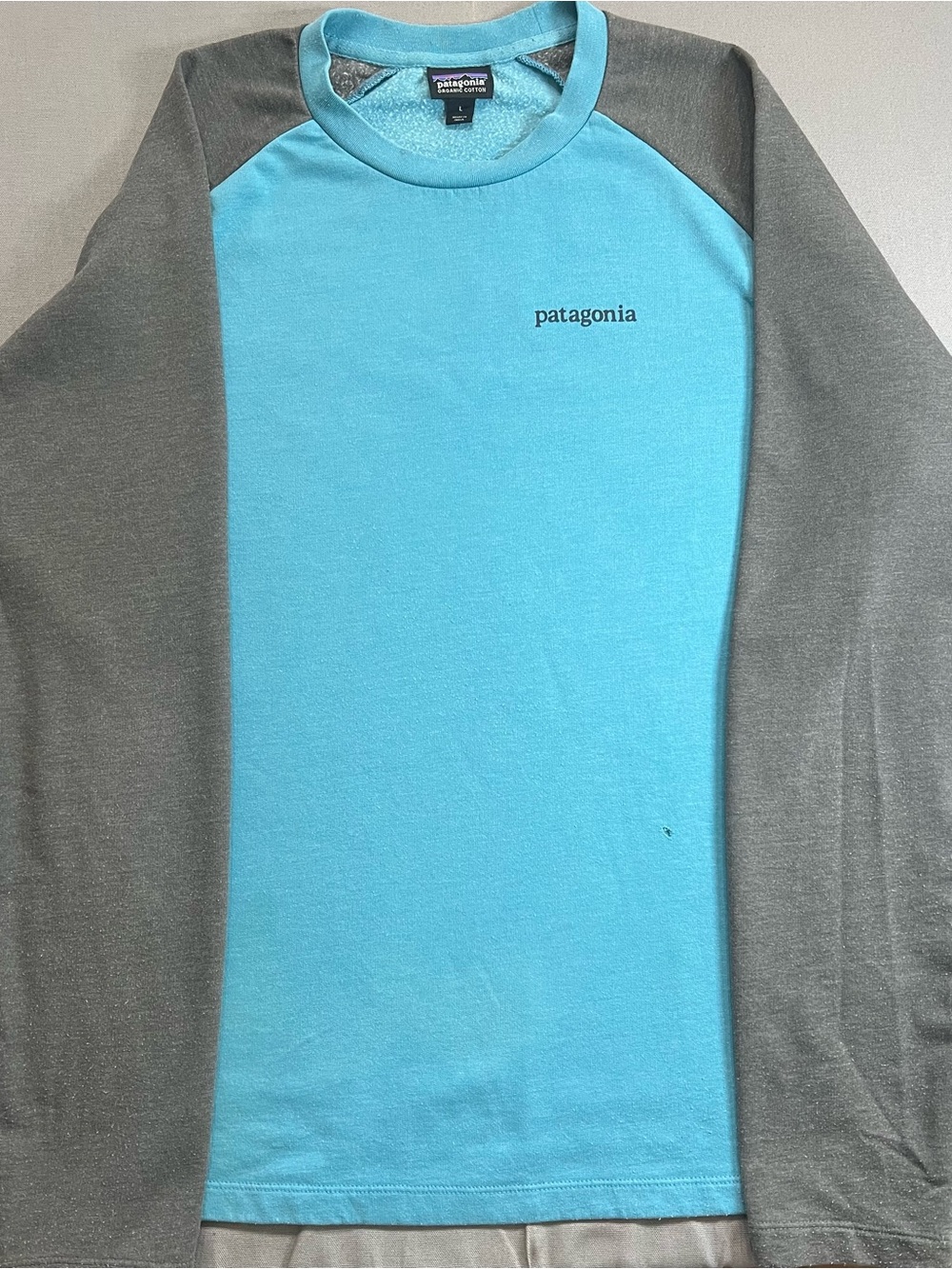 Patagonia Raglan Long Sleeve Tee - Aqua & Gray